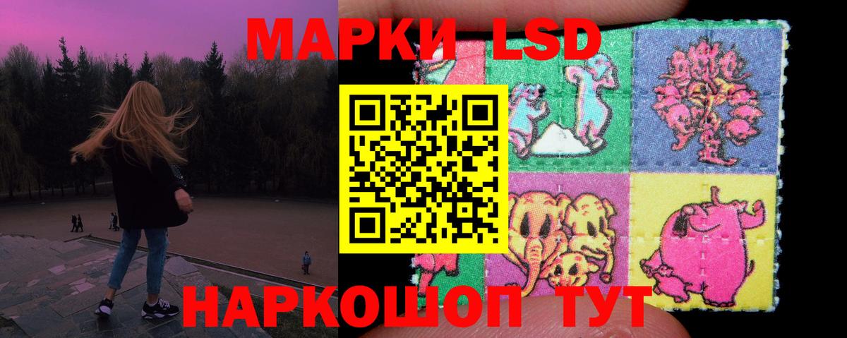 Галлюциногенные грибы Феодосия
