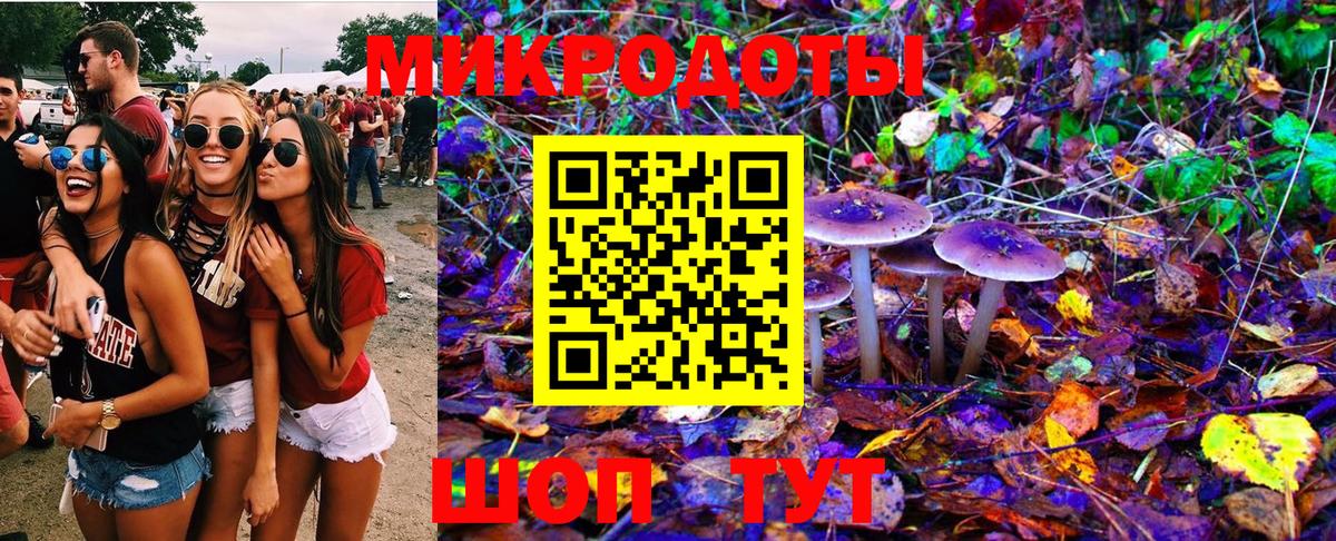 Феодосия  Псилоцибиновые грибы MAGIC MUSHROOMS  Вход с VPN 